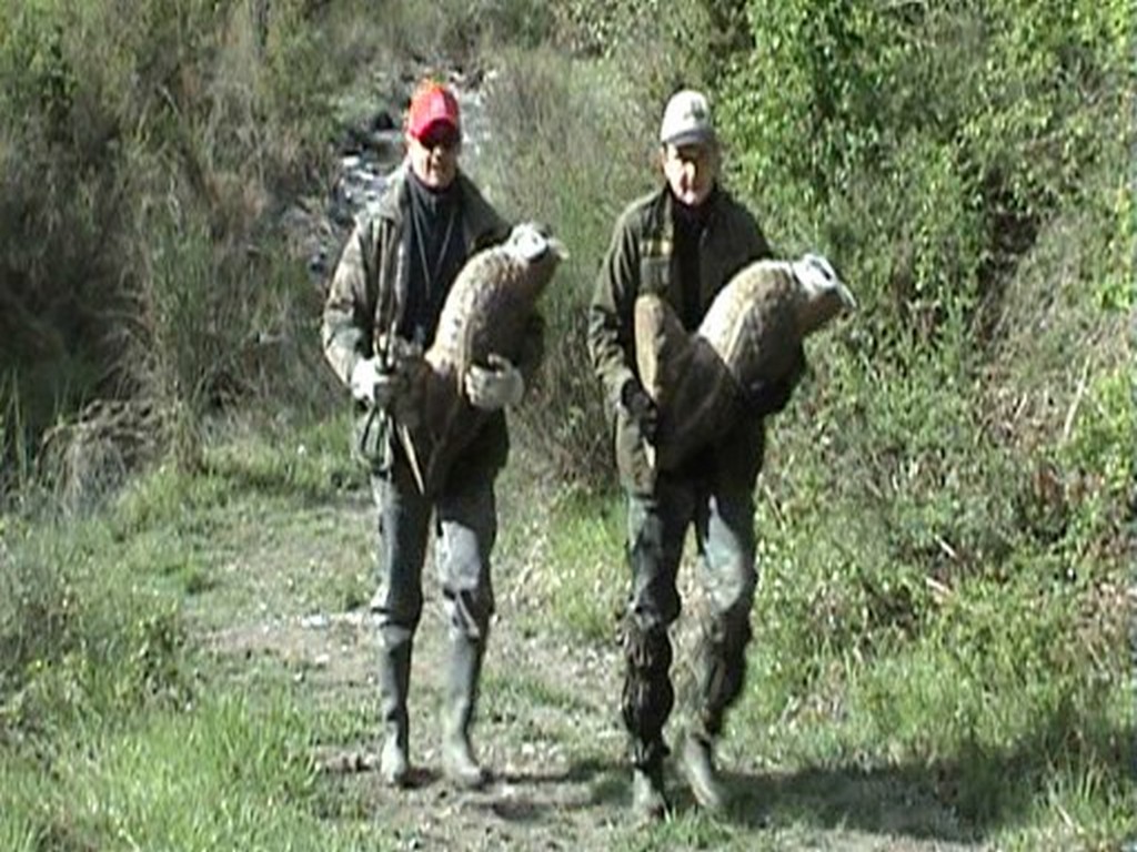 Preparazione Campo di Gara