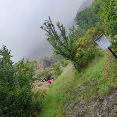 Img 20220531 Wa0007